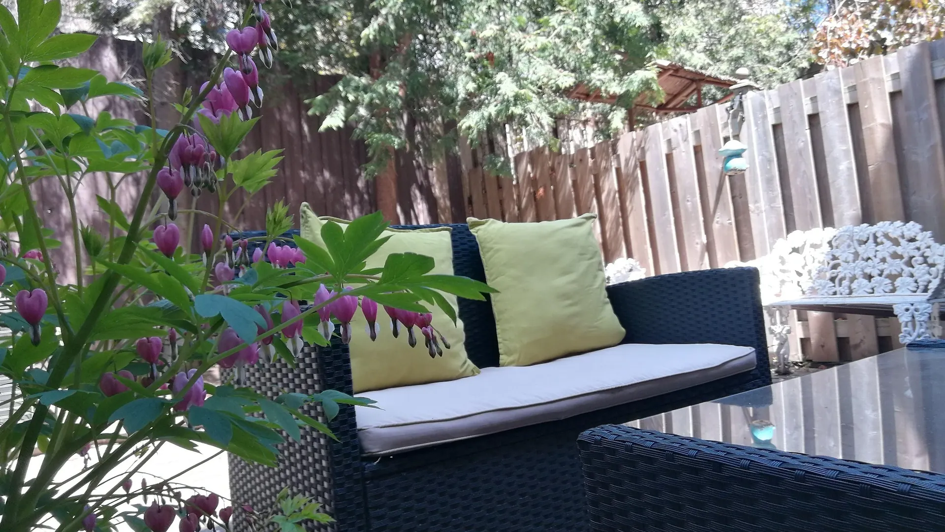 ゲストハウス ホテル マージー タウンホーム スイーツ トロント